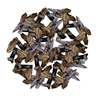 Hongos Negros de Pino